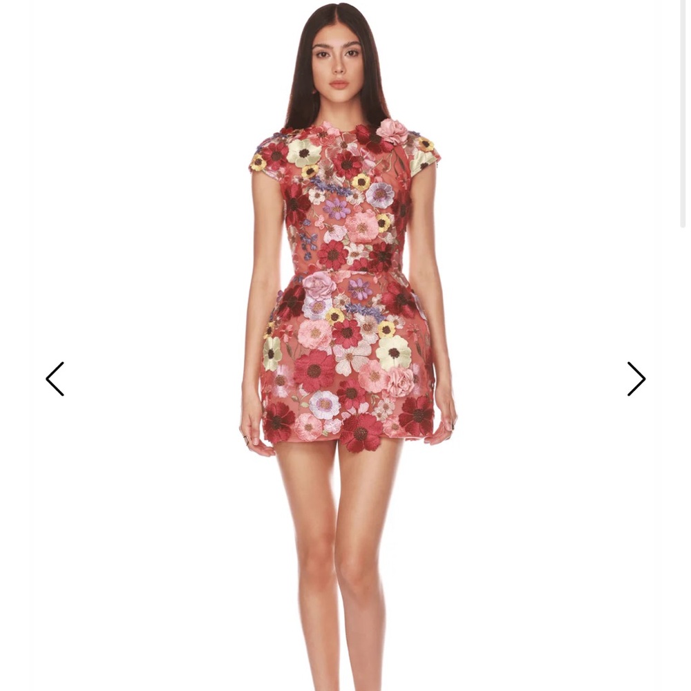 Bronx and Banco Jasmine Cap Sleeve Mini Dress in Multi